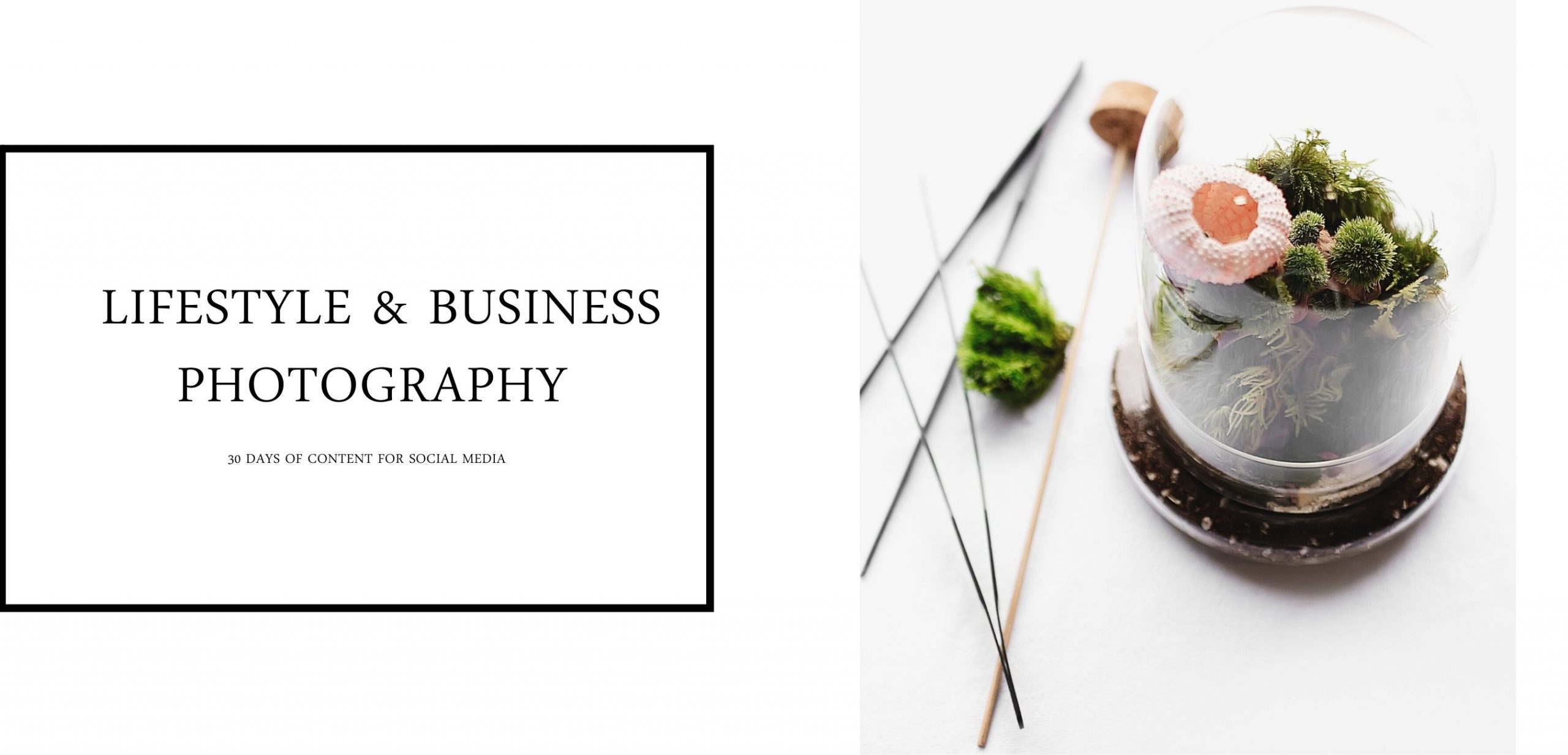 Lifestyle & Small Business Photography Lifestyle & Small Business Photography
