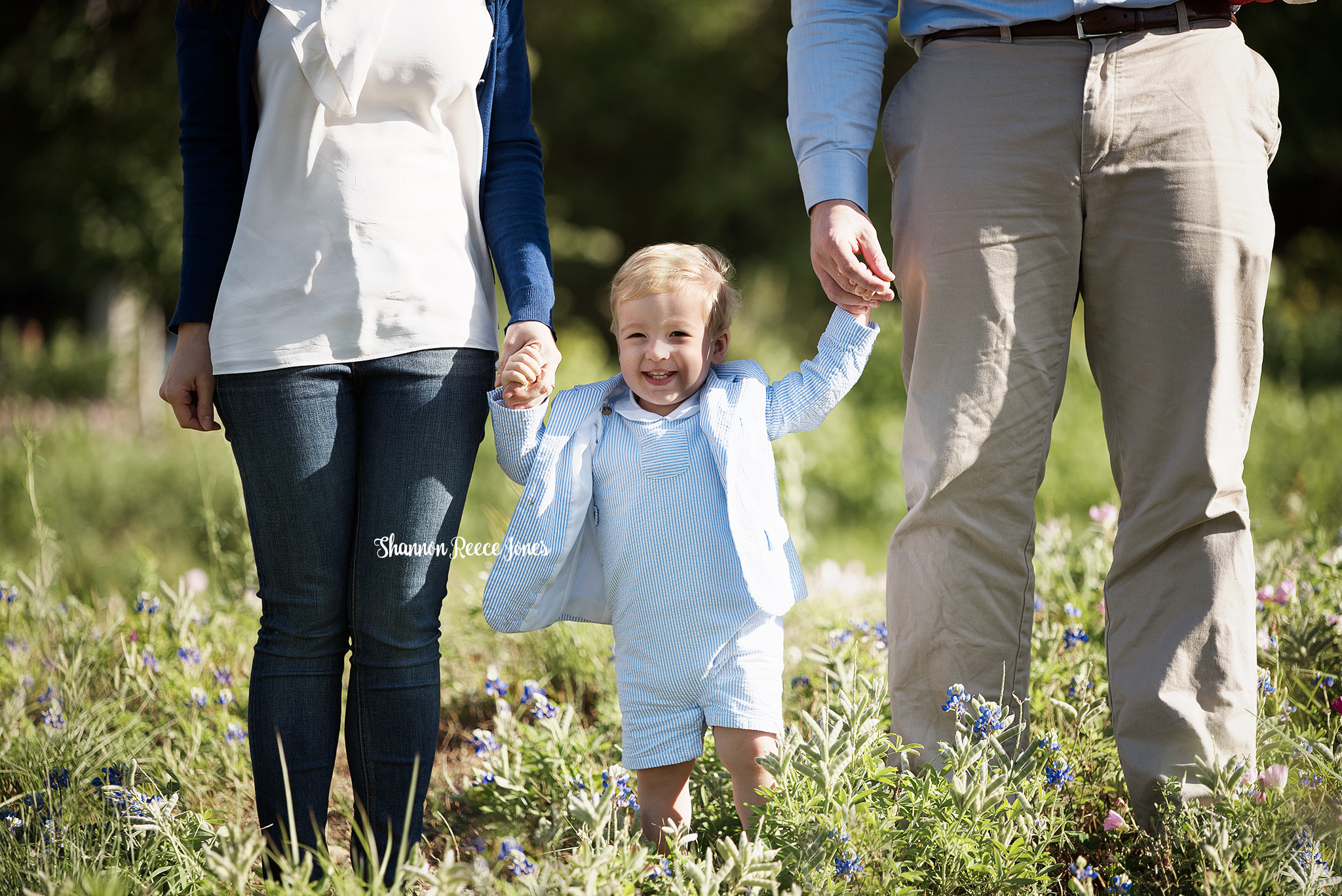 Bluebonnet Photographer