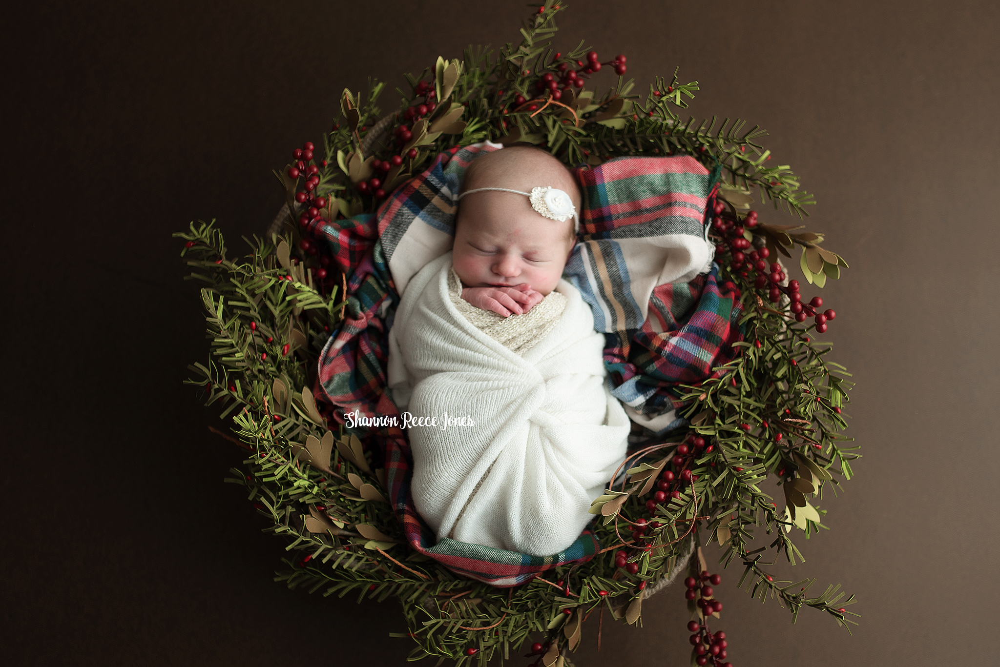 Houston holiday newborn photographer, baby girl in wreath
