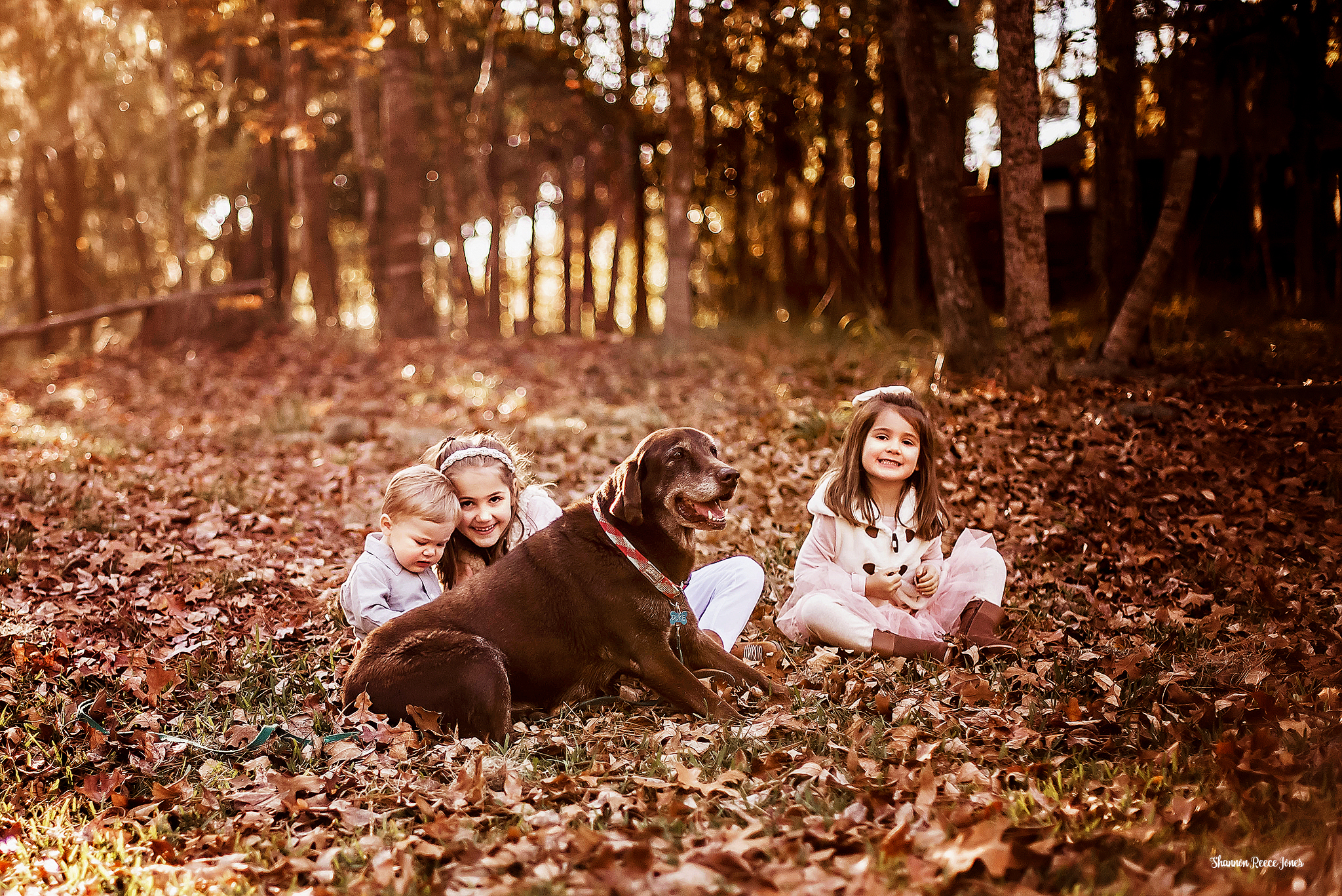 Family Pictures | Kids with Dog