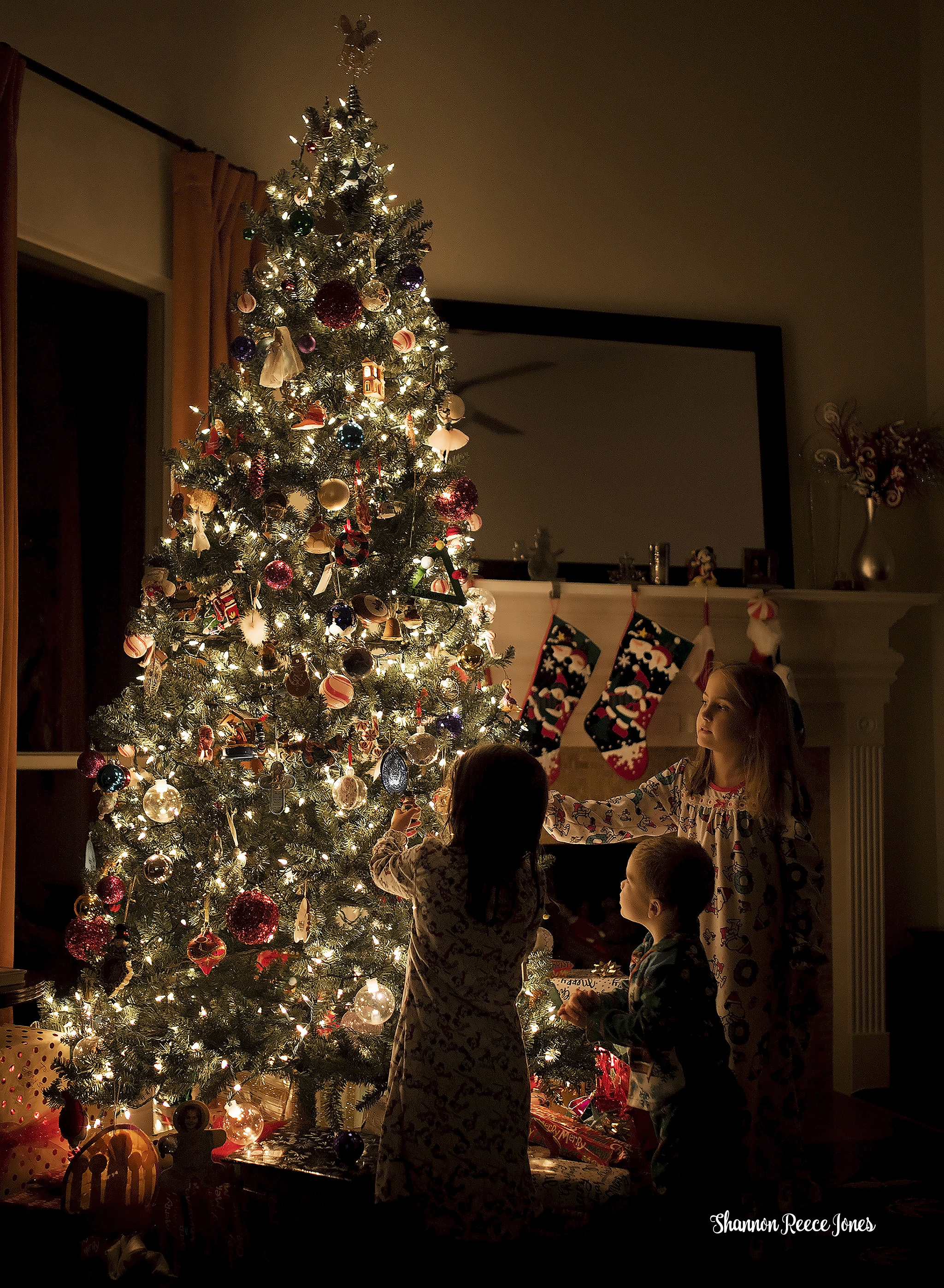 Kids by Tree