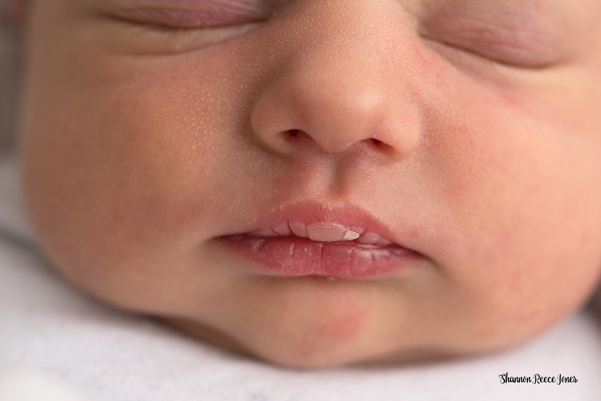 Newborn Details | Newborn Studio