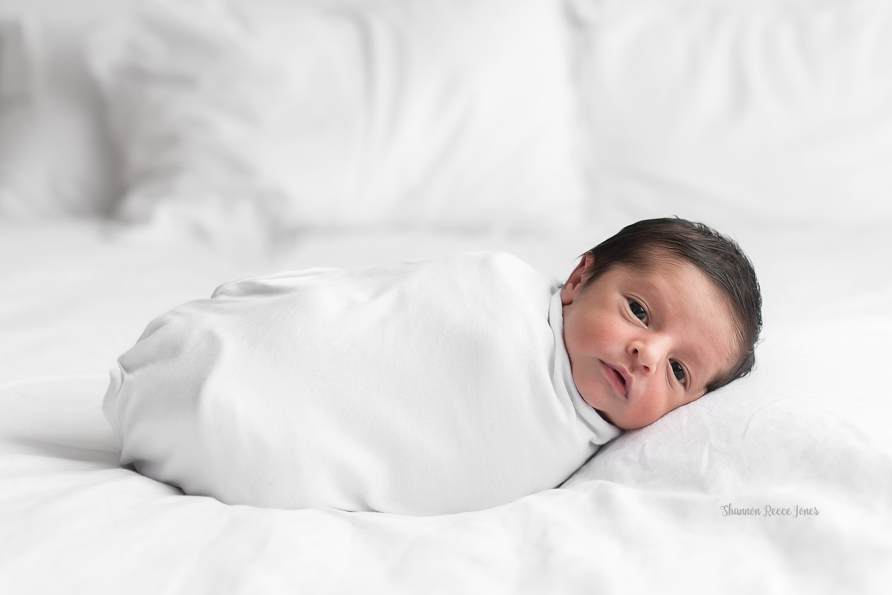 Houston Texas newborn photographer