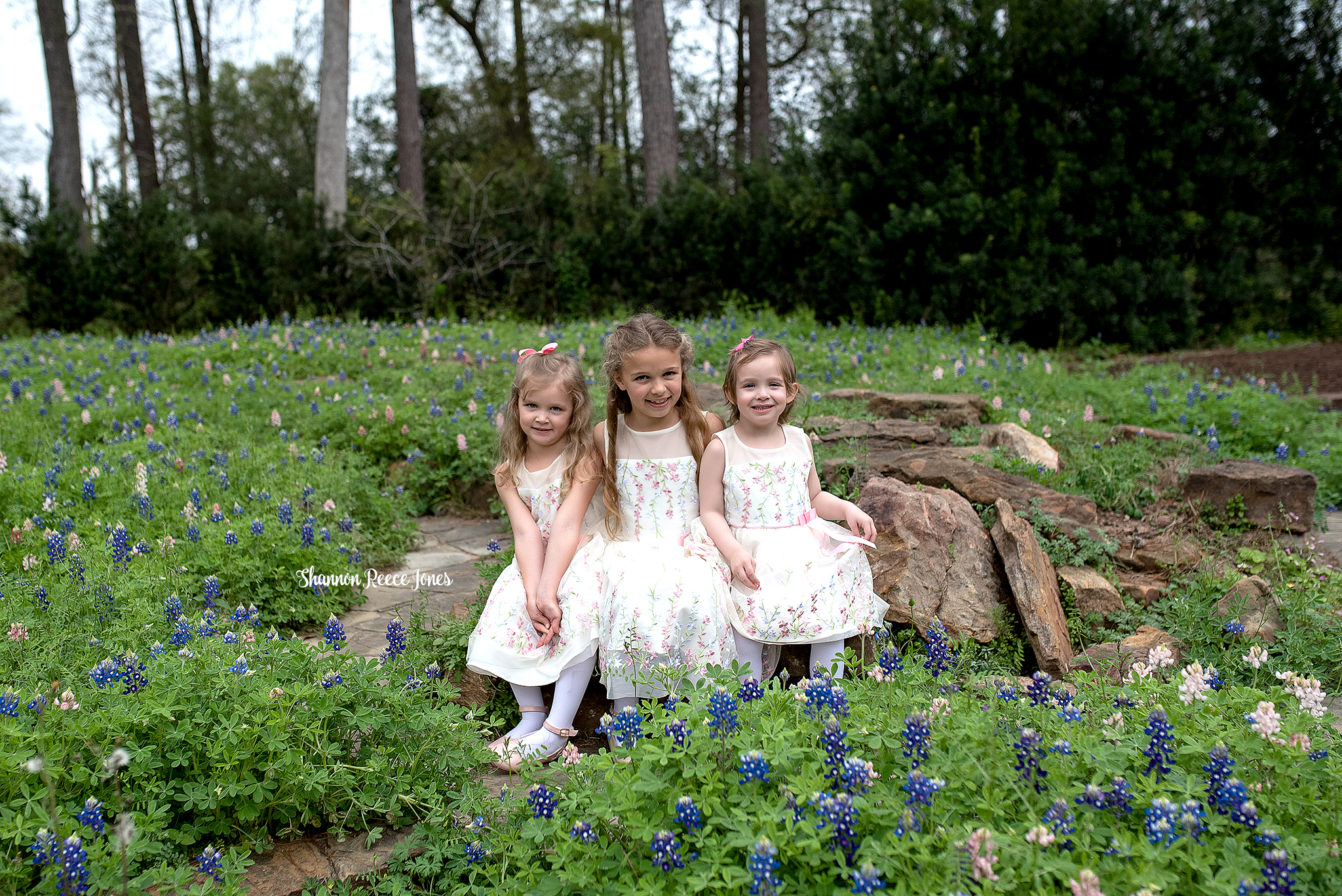 Maternity Photography  Spring, Texas - Shannon Reece Jones