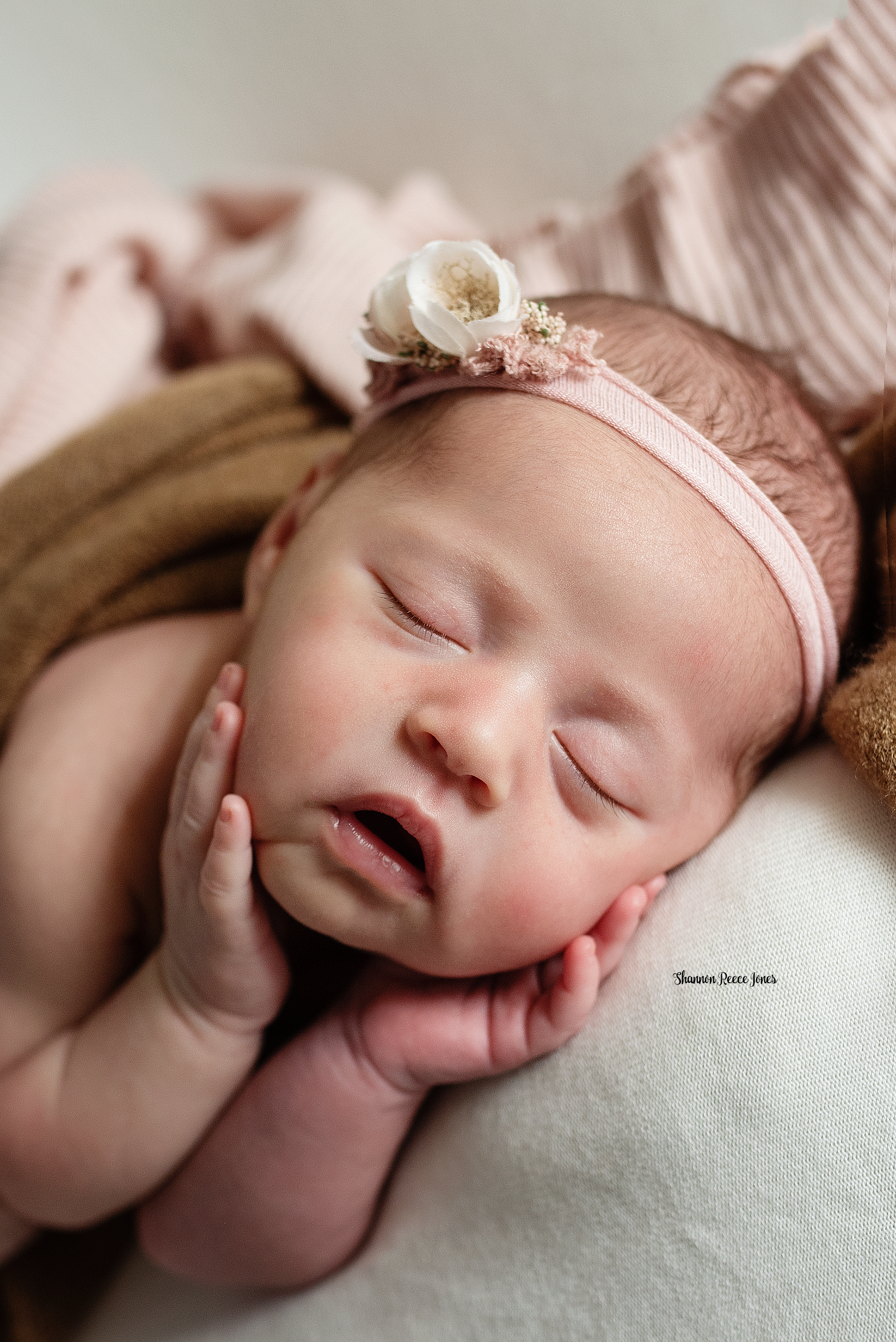 professional newborn photographer houston tx