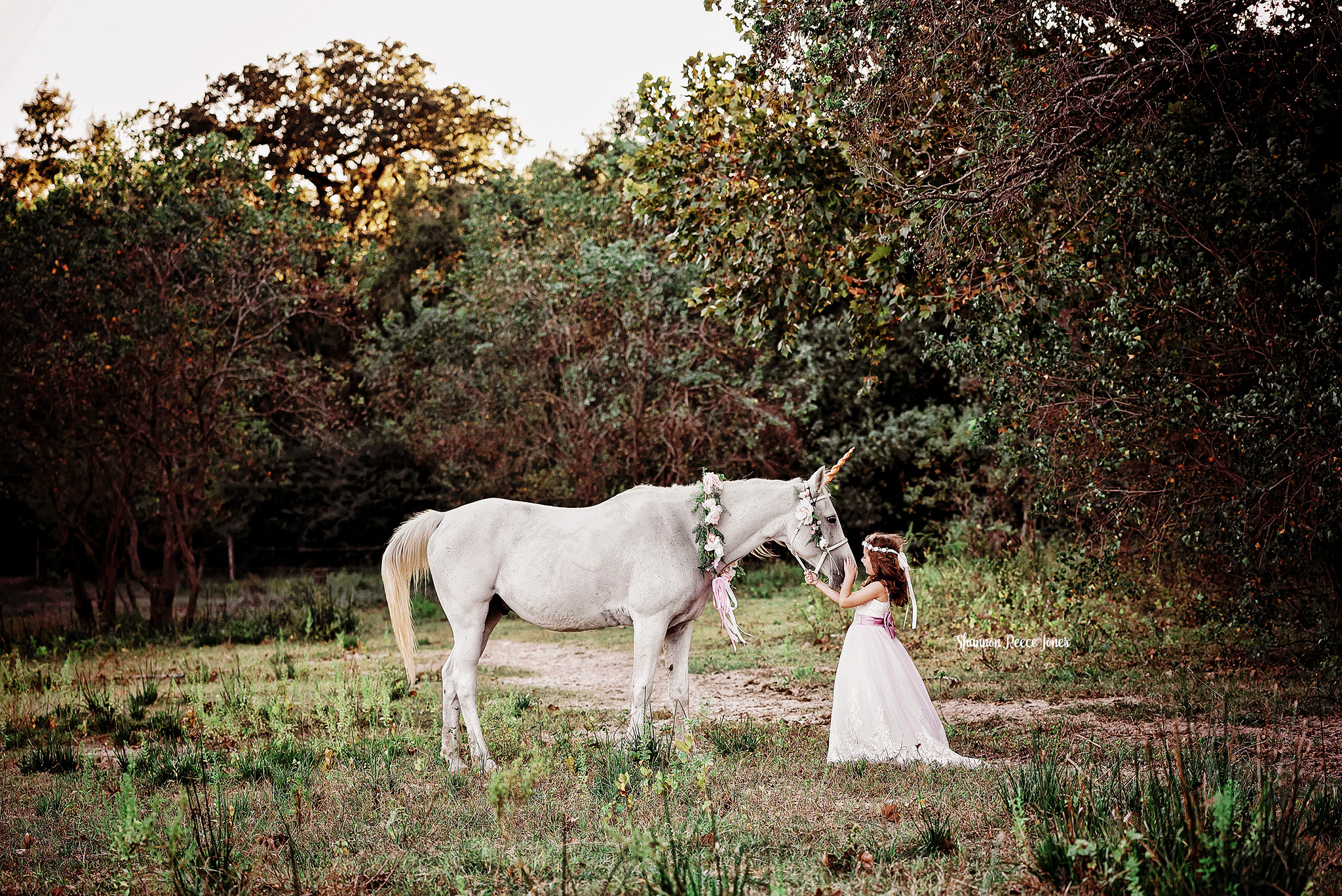 magical portrait photography near Houston Texas