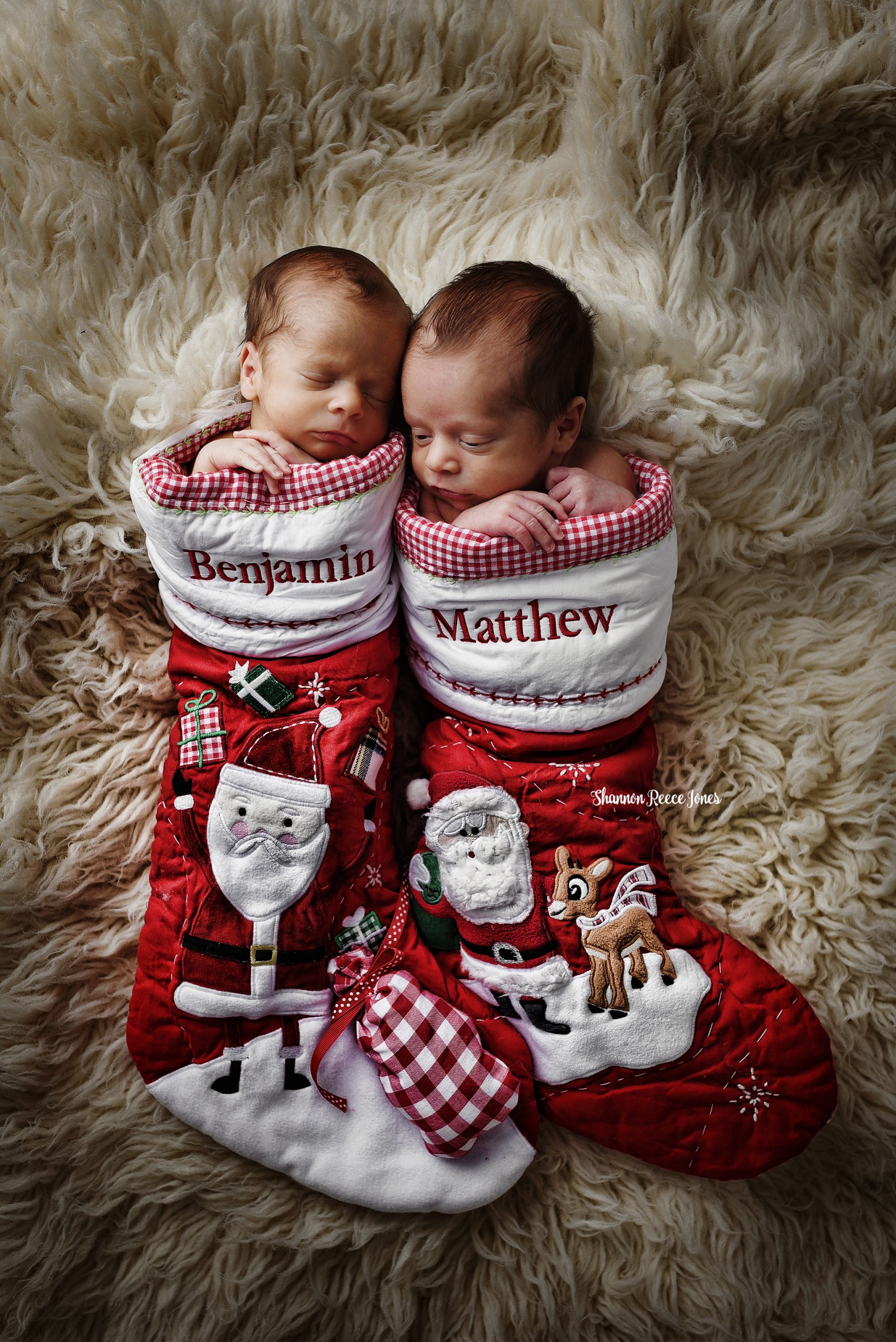 twins photographer christmas photos houston