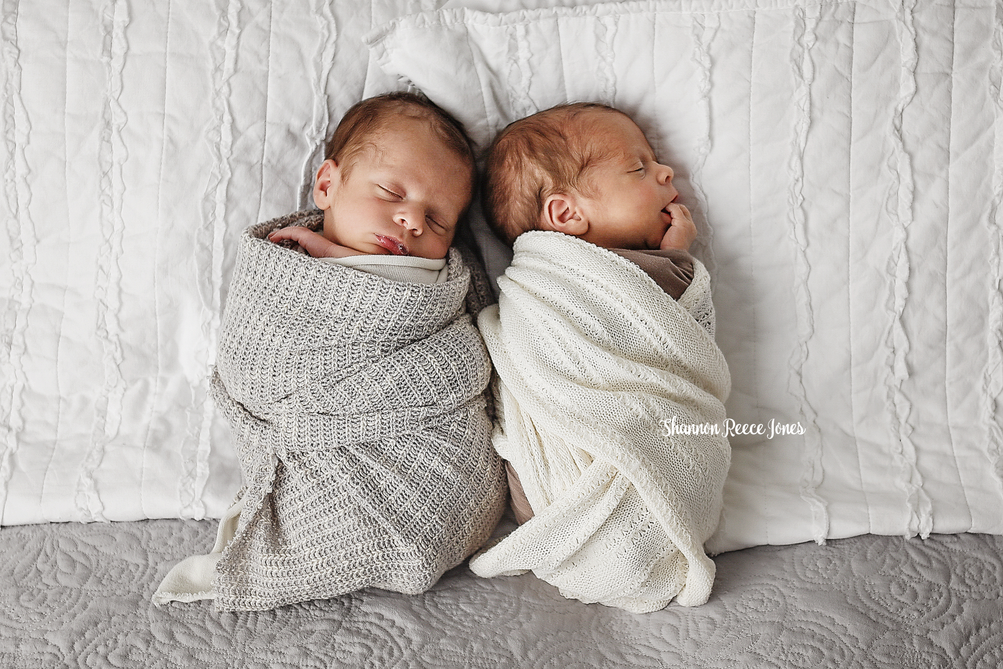 twins baby photographer texas studio
