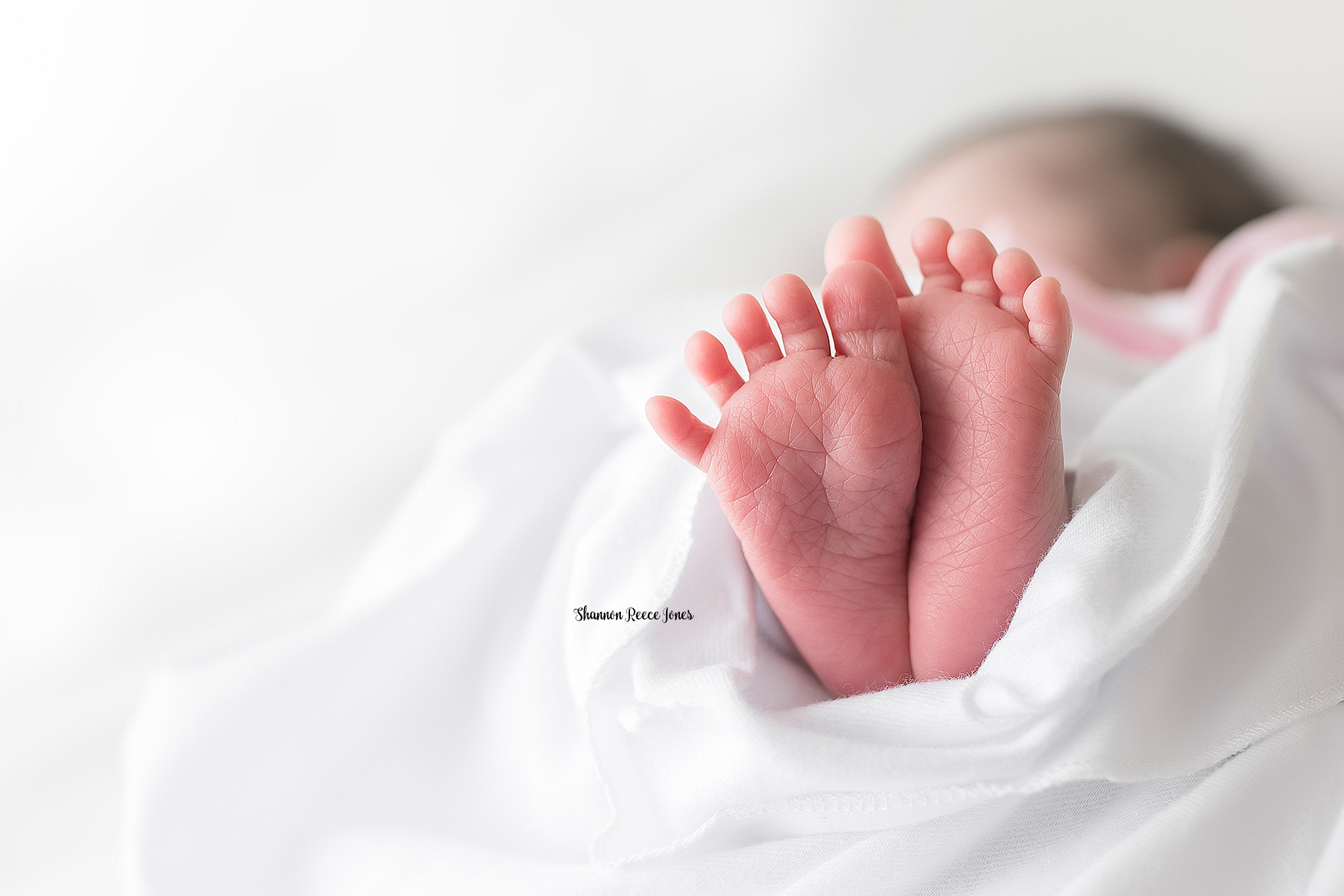 Newborn Baby Photographers