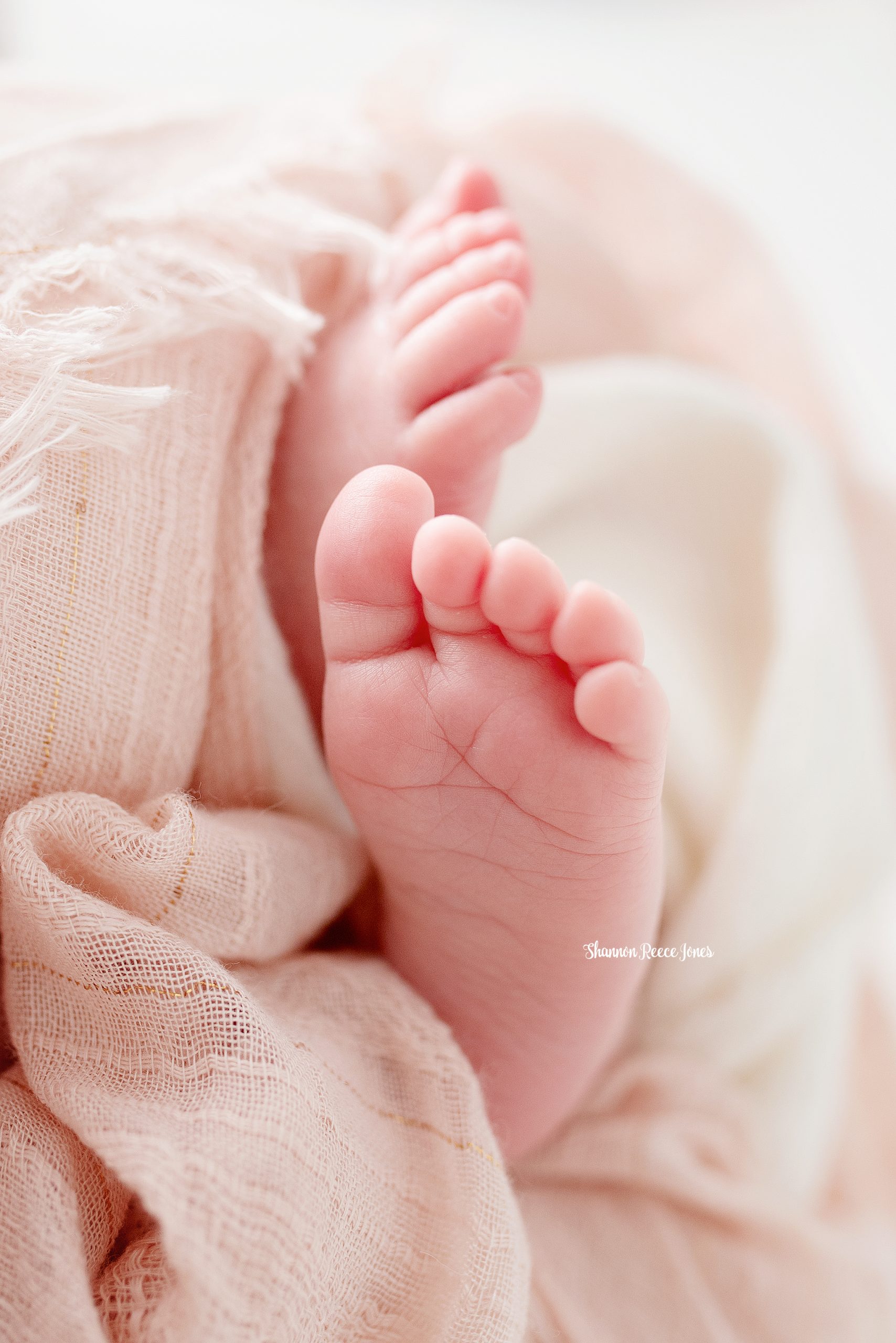 studio newborn photos, baby toes