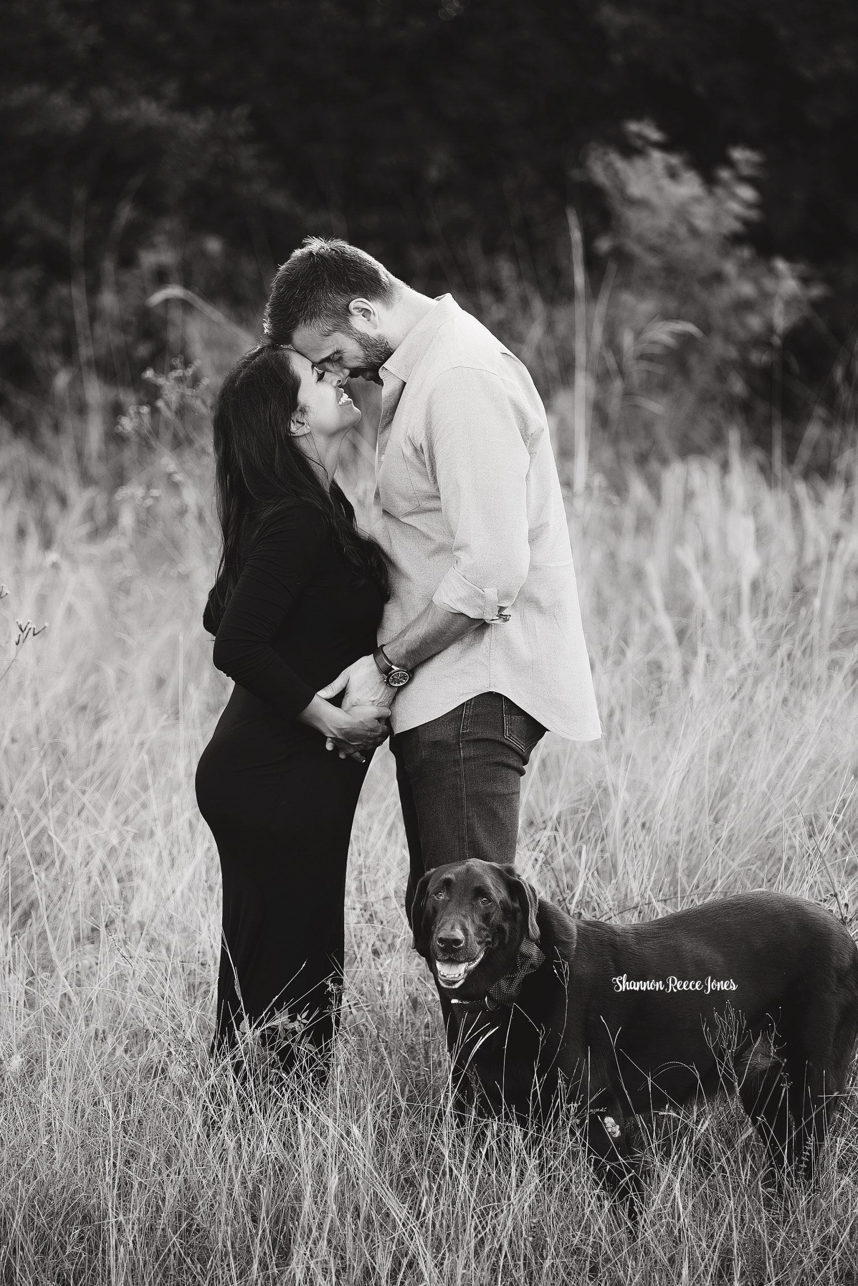 maternity photo shoot with pets, new parents in field with dog