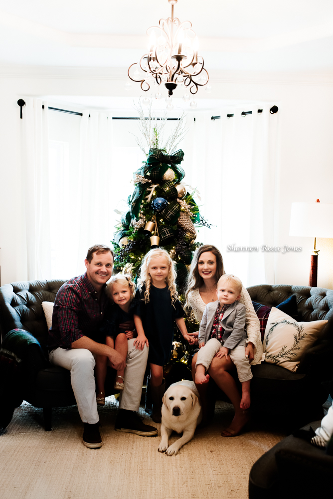 lifestyle holiday session, family in front of christmas tree