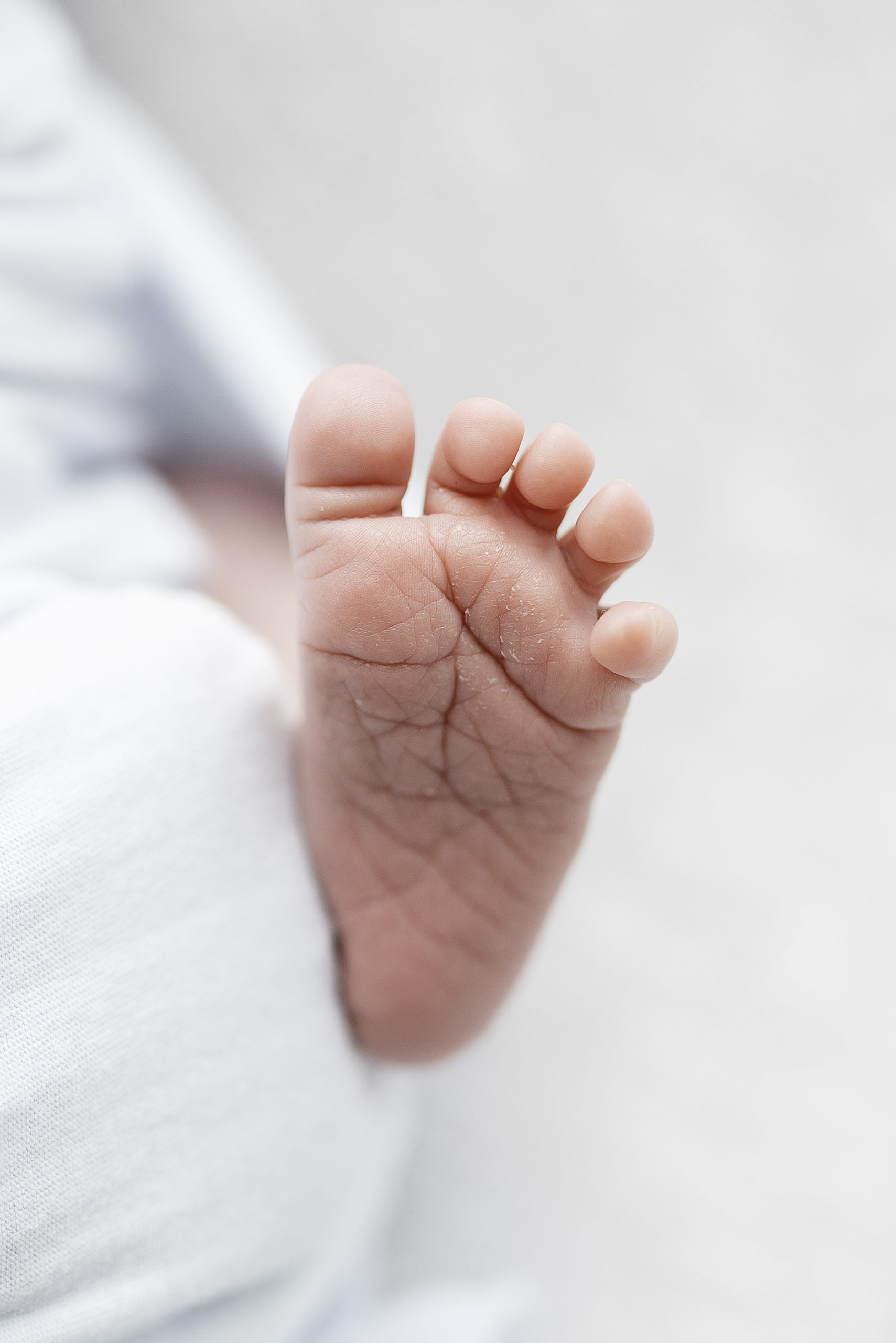 Houston Newborn Photographer - Baby Feet - Shannon Reece Jones
