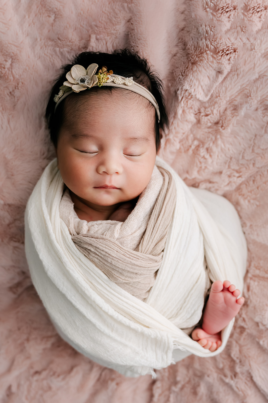 Houston newborn photographer